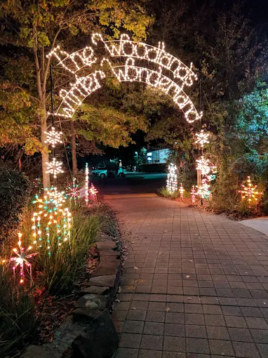 Luxury Sprinter van for Houston concert and event group transportation