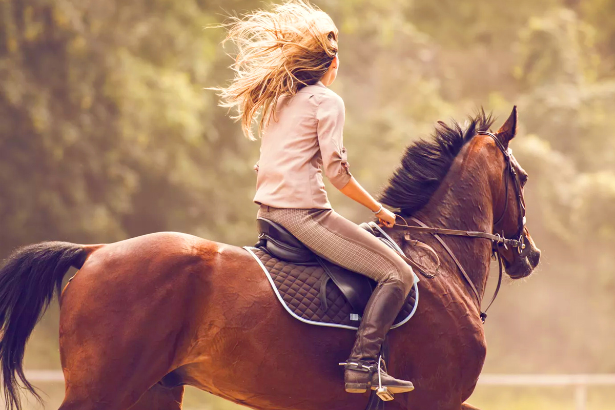 Horseback riding experience with luxury transportation provided by C&S Executive